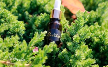Onitsza-finał drzewnych wariacji zapachowych